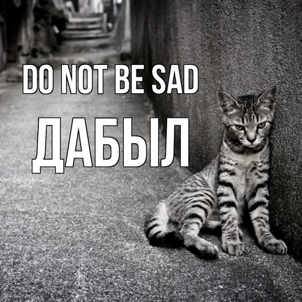 Greetings card с именем, Дабыл Do not be sad скучающий котик Greetings with text for free download 
