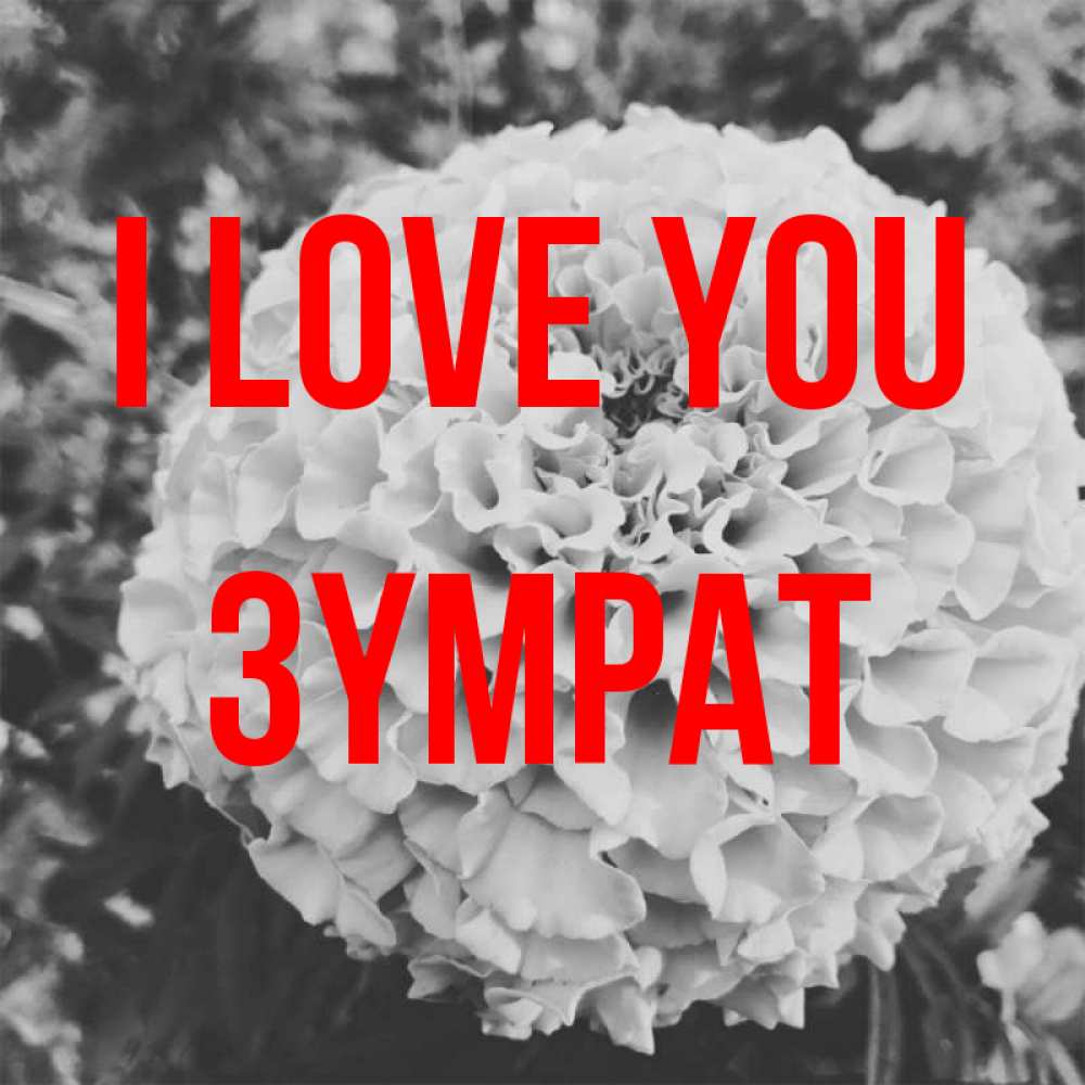 Greetings card с именем, ЗҮМРАТ I love you подпись Greetings with text for free download 