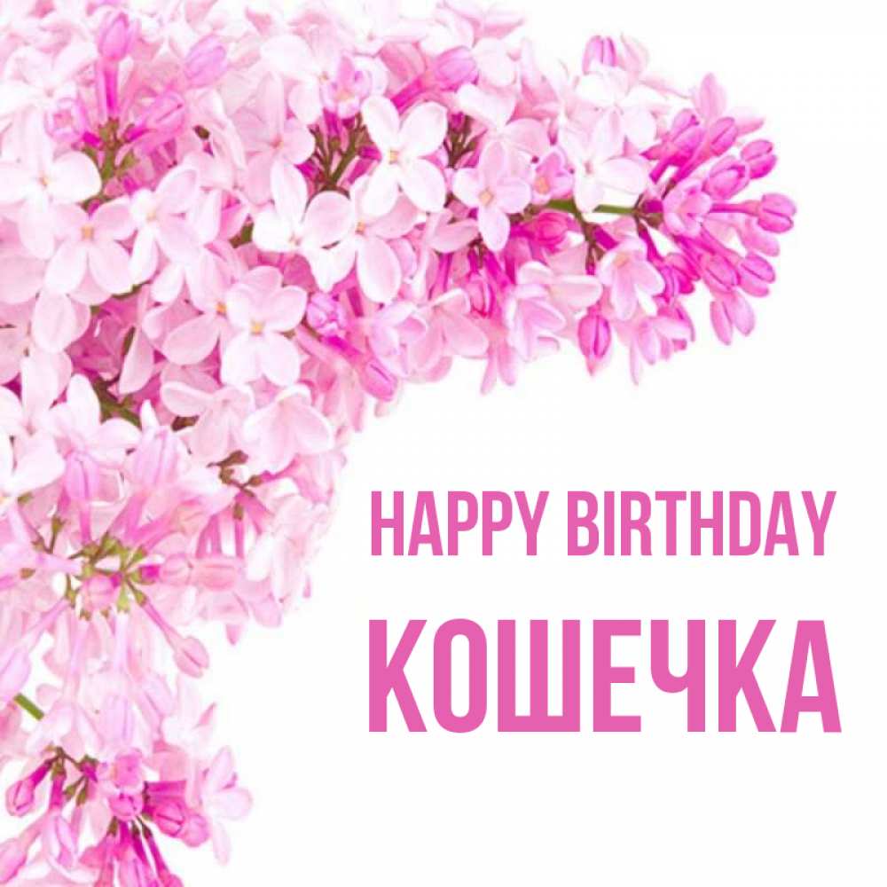 Greetings card с именем, Кошечка Happy Birthday Сирень на белом фоне Greetings with text for free download 