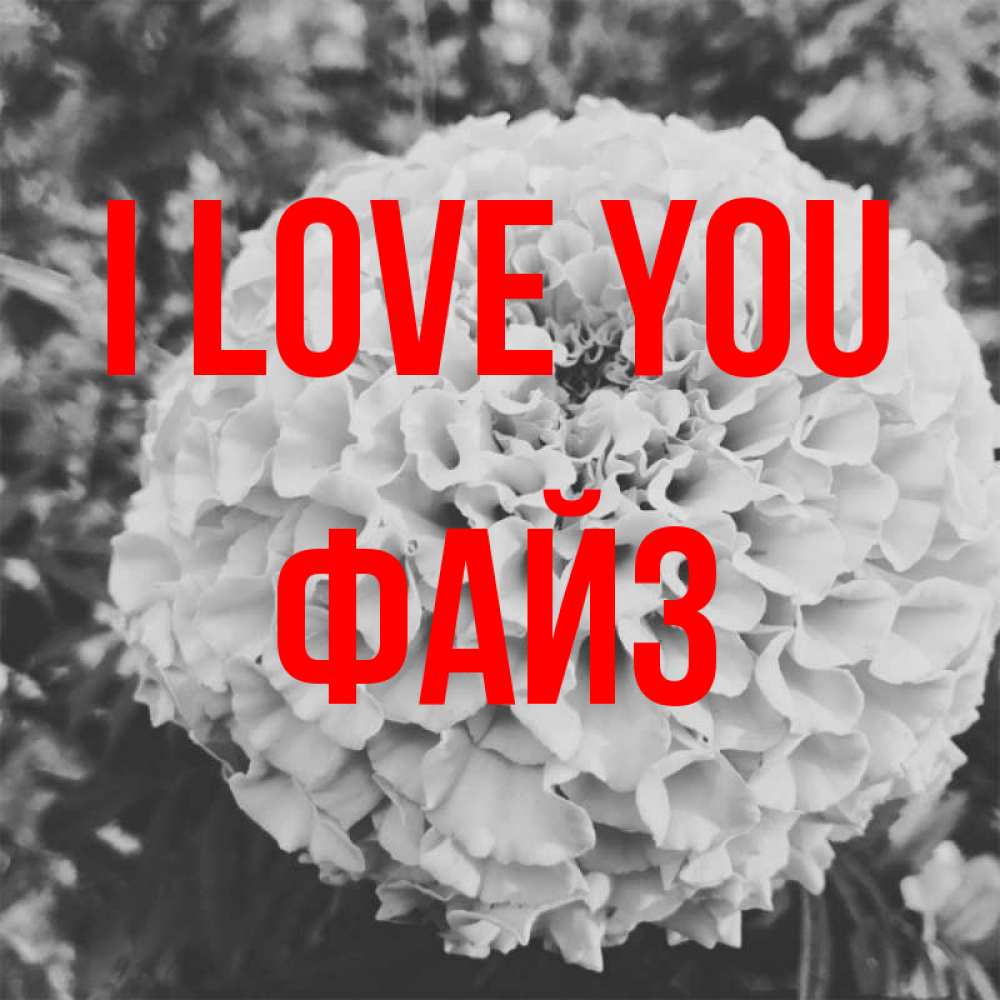 Greetings card с именем, ФАЙЗ I love you подпись Greetings with text for free download 