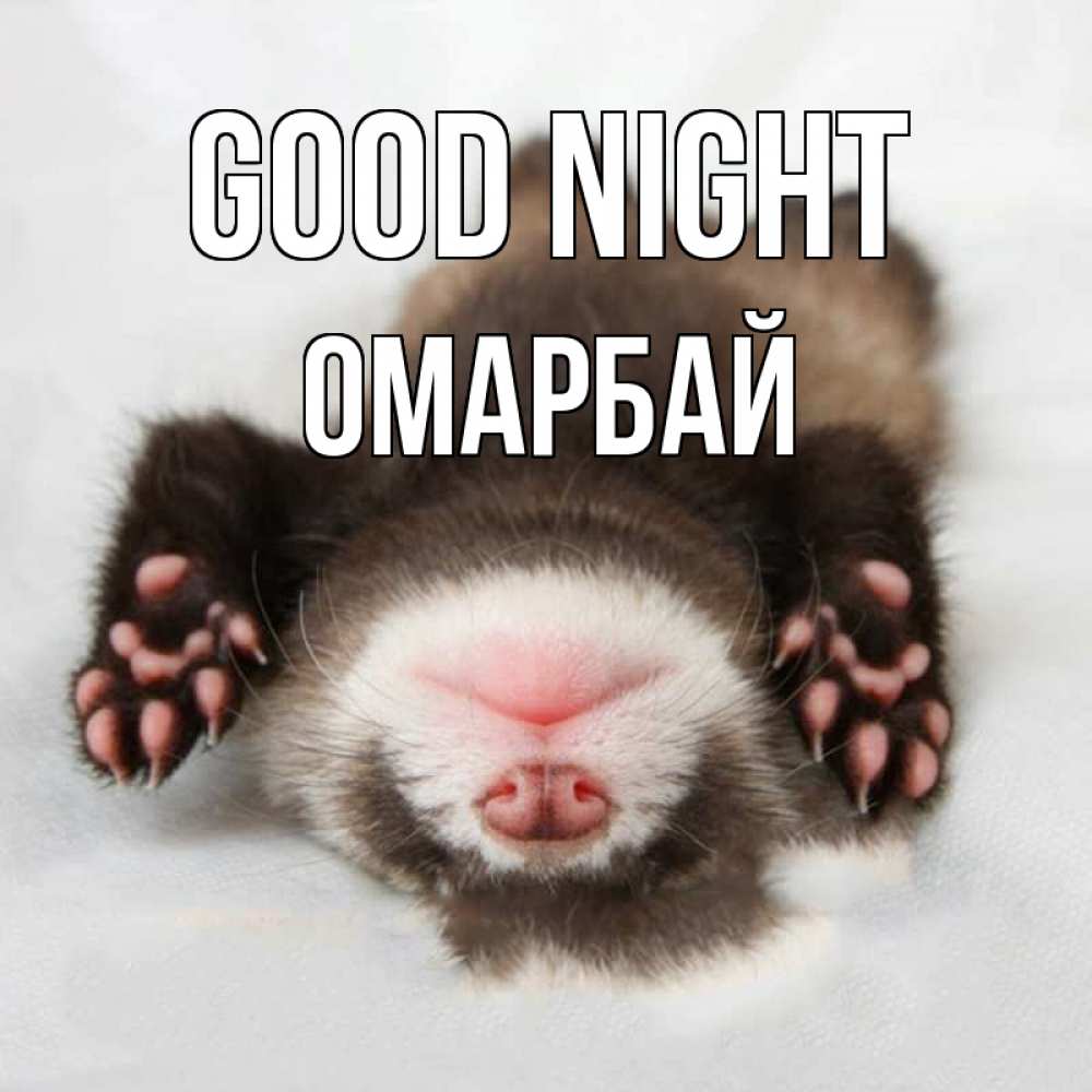 Greetings card с именем, ОМАРБАЙ Good night зверек Greetings with text for free download 