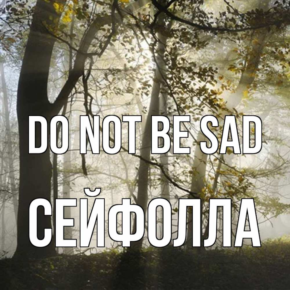 Greetings card с именем, СЕЙФОЛЛА Do not be sad лес и свет Greetings with text for free download 