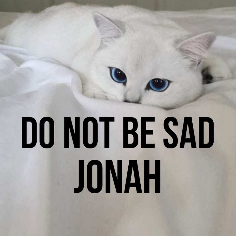 Greetings card с именем, Jonah Do not be sad Голубоглазая кошка Greetings with text for free download 