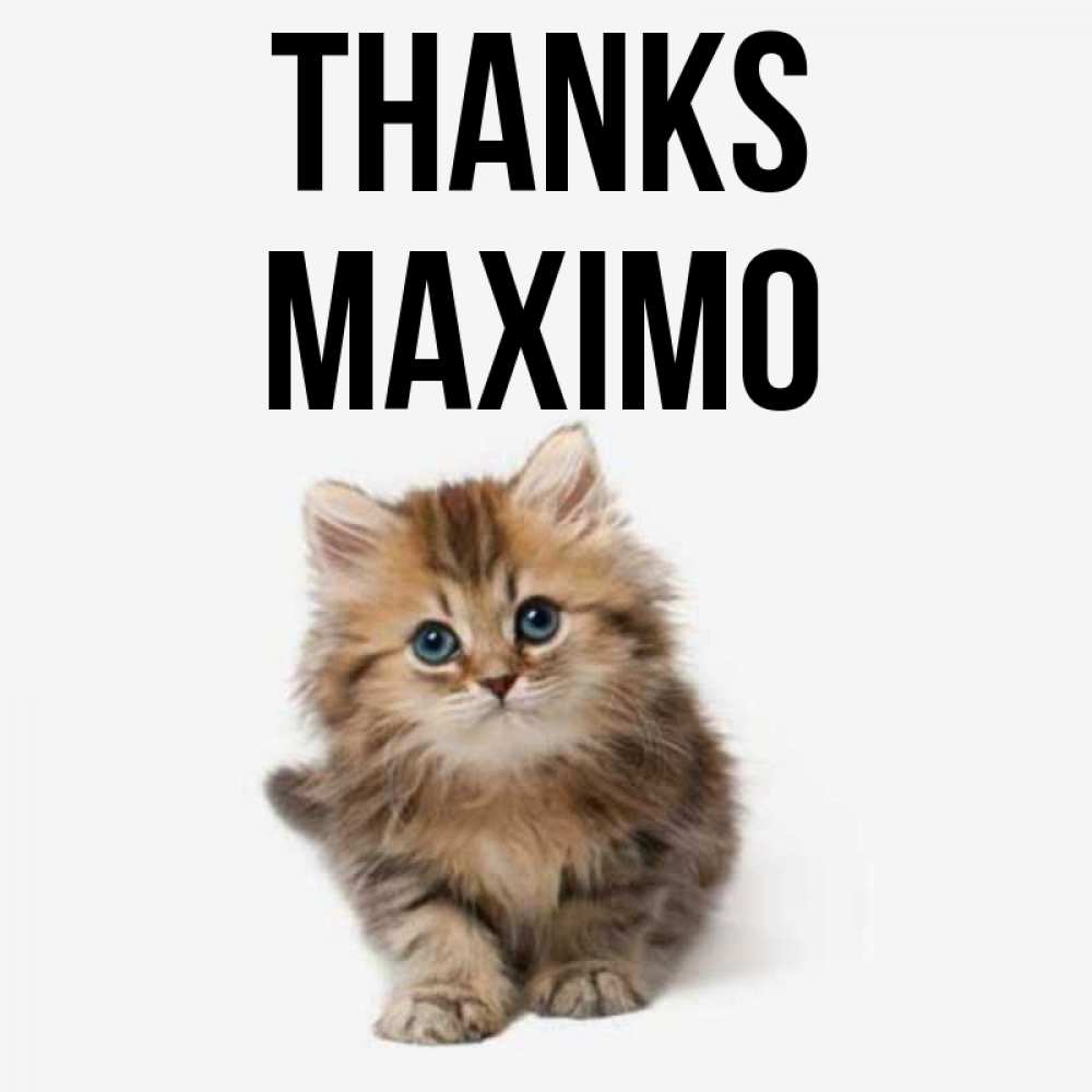 Greetings card с именем, Maximo Thanks пушистый котик Greetings with text for free download 