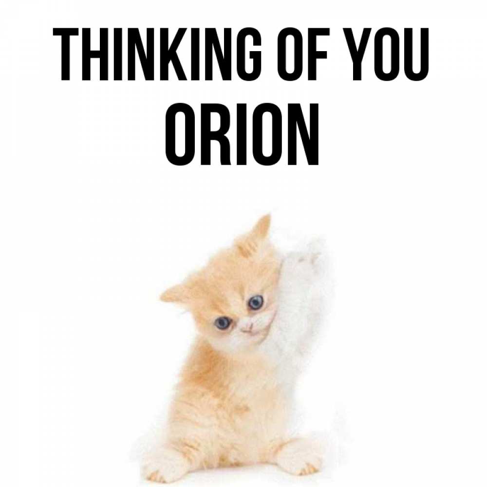 Greetings card с именем, Orion Thinking of you зверушки и милота Greetings with text for free download 