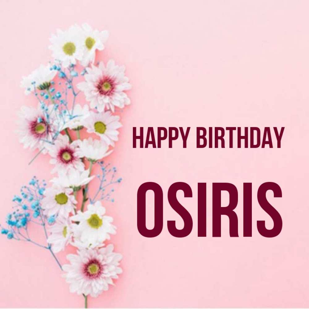 Greetings card с именем, Osiris Happy Birthday Родная моя с днем рождения тебя картинка с цветами белыми и голубыми Greetings with text for free download 