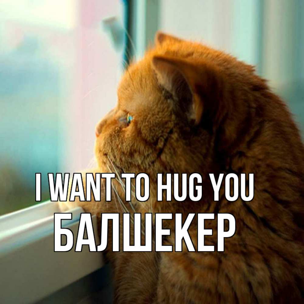 Greetings card с именем, БАЛШЕКЕР I want to hug you большой огромный рыжий котяра Greetings with text for free download 