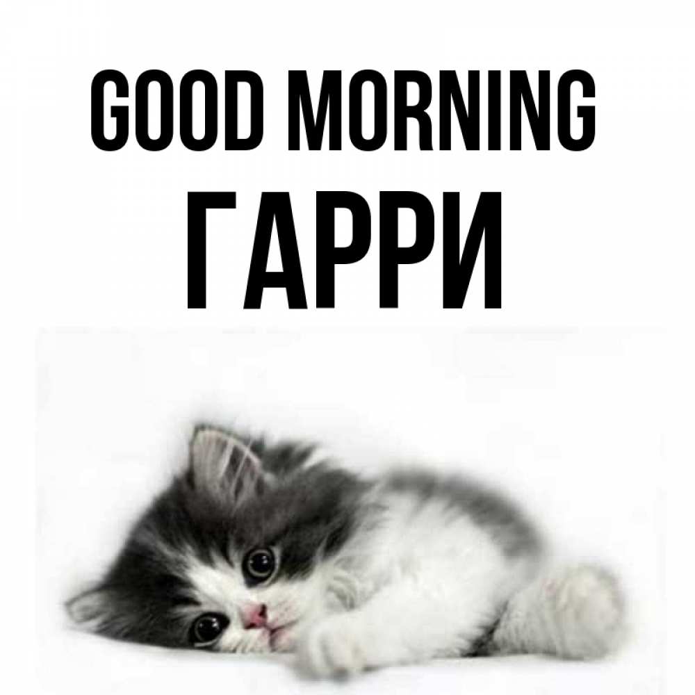 Greetings card с именем, Гарри Good morning кот лапки Greetings with text for free download 