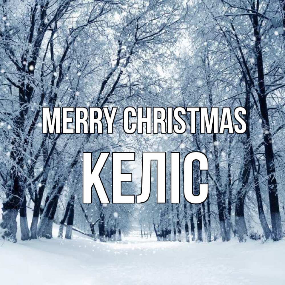 Greetings card с именем, Келіс Merry Christmas снег, лес, парк Greetings with text for free download 