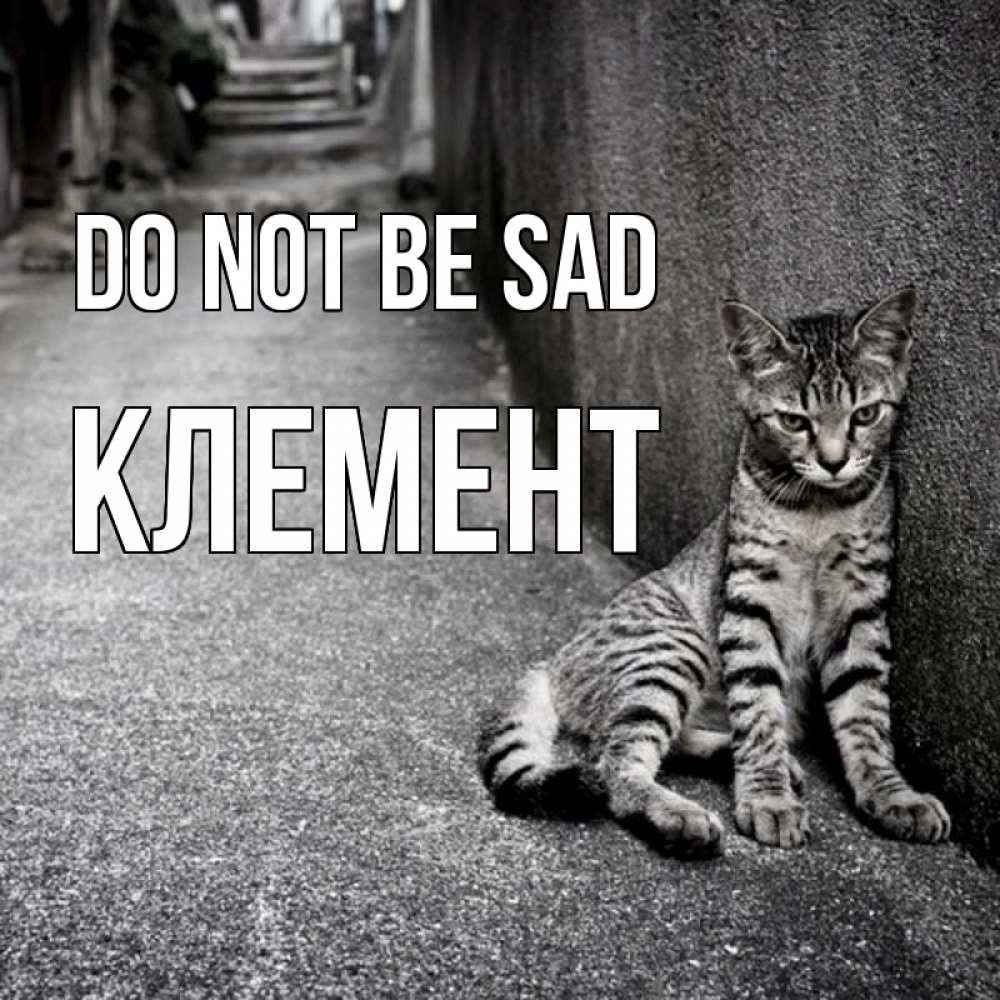 Greetings card с именем, Клемент Do not be sad скучающий котик Greetings with text for free download 