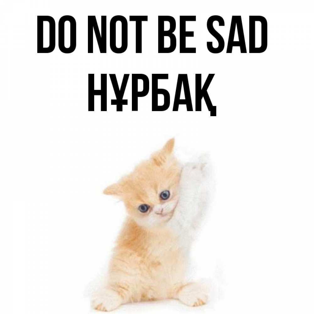 Greetings card с именем, НҰРБАҚ Do not be sad просящий кот Greetings with text for free download 