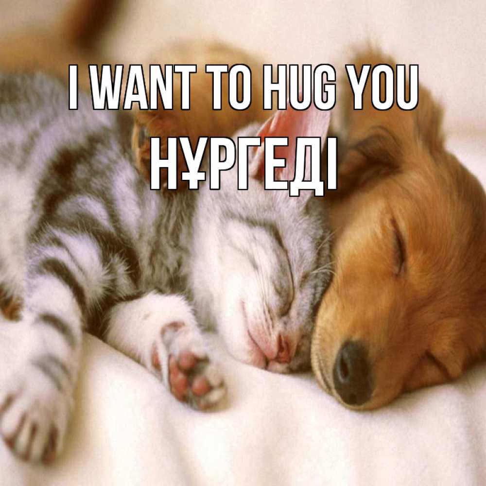 Greetings card с именем, НҰРГЕДІ I want to hug you пес и котенок Greetings with text for free download 