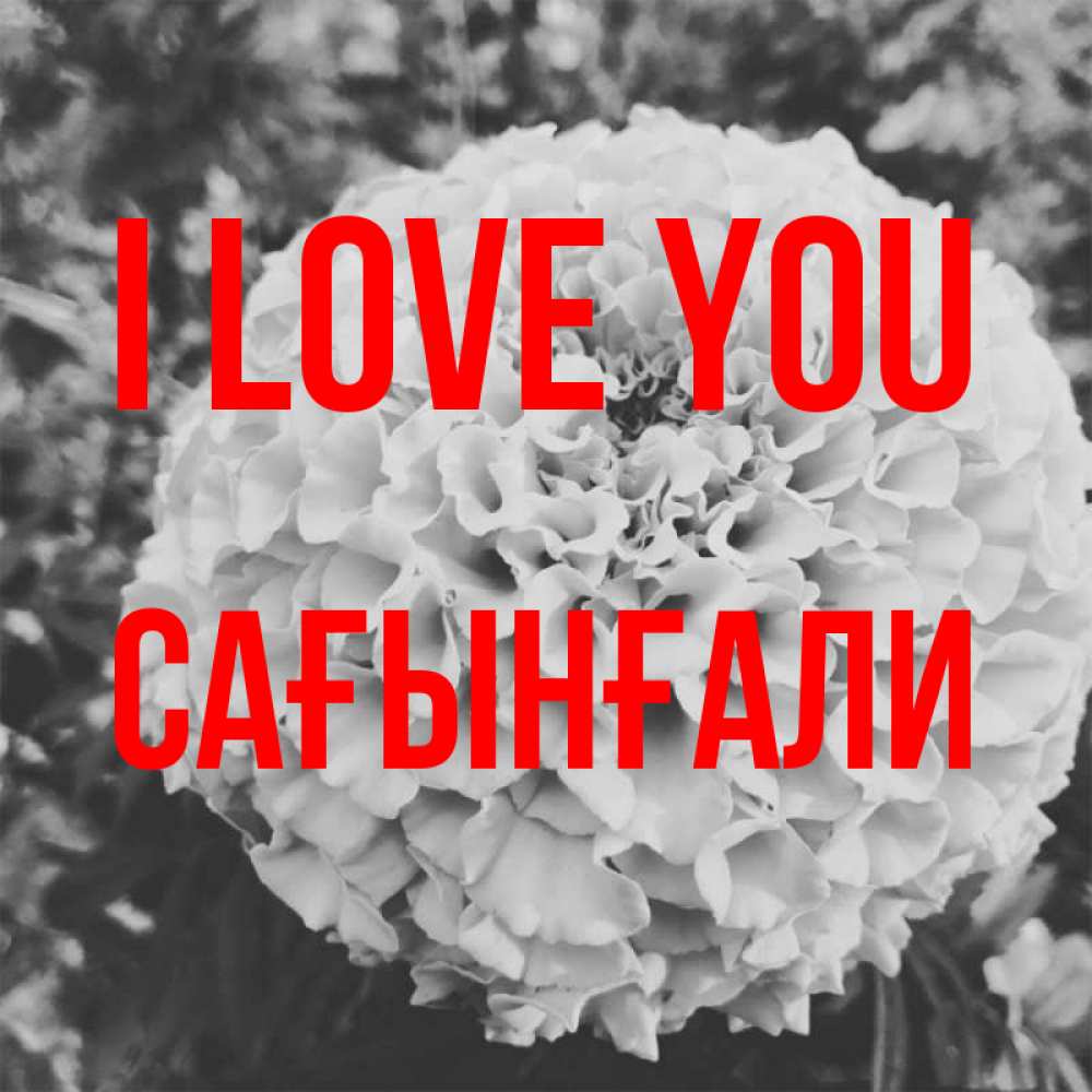 Greetings card с именем, Сағынғали I love you подпись Greetings with text for free download 