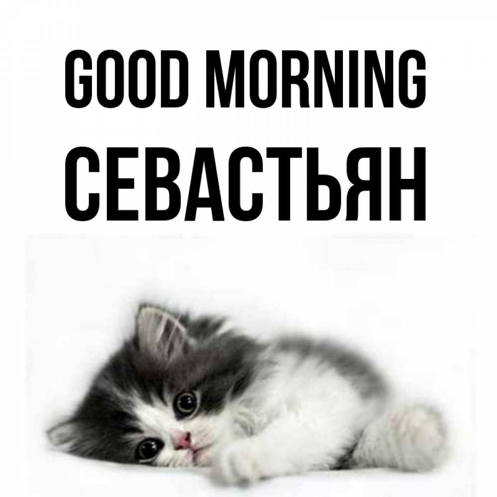 Greetings card с именем, Севастьян Good morning кот лапки Greetings with text for free download 