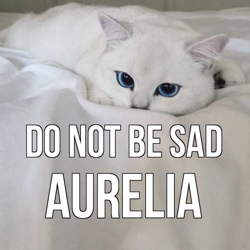 Greetings card с именем, Aurelia Do not be sad белый кот с голубыми глазами на белоснежной кровати Greetings with text for free download 