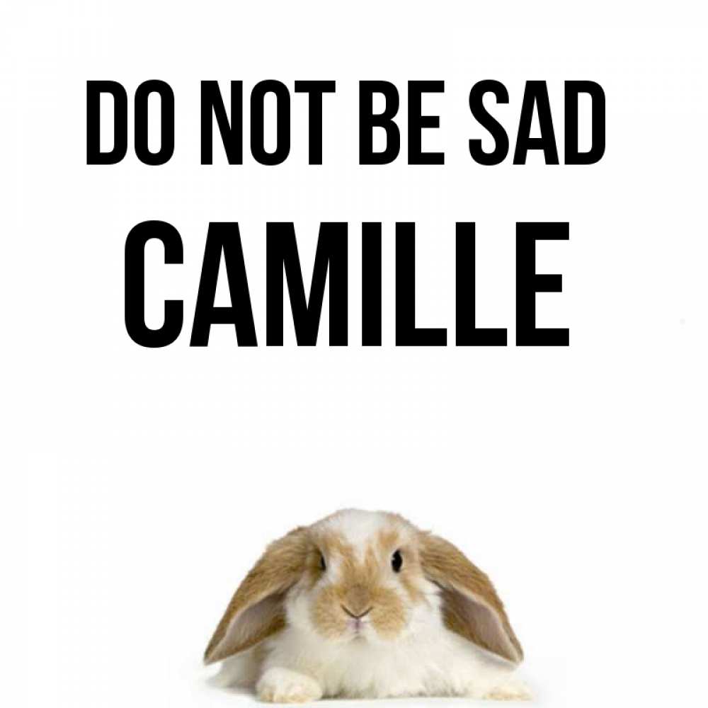Greetings card с именем, Camille Do not be sad коричнево белый заяц с большими ушками Greetings with text for free download 