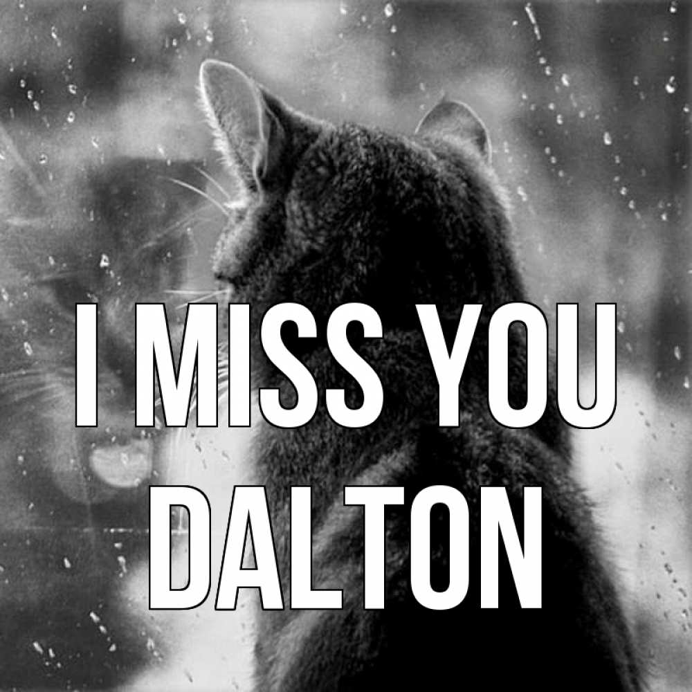 Greetings card с именем, Dalton I miss you скорее ко мне приходи 1 Greetings with text for free download 