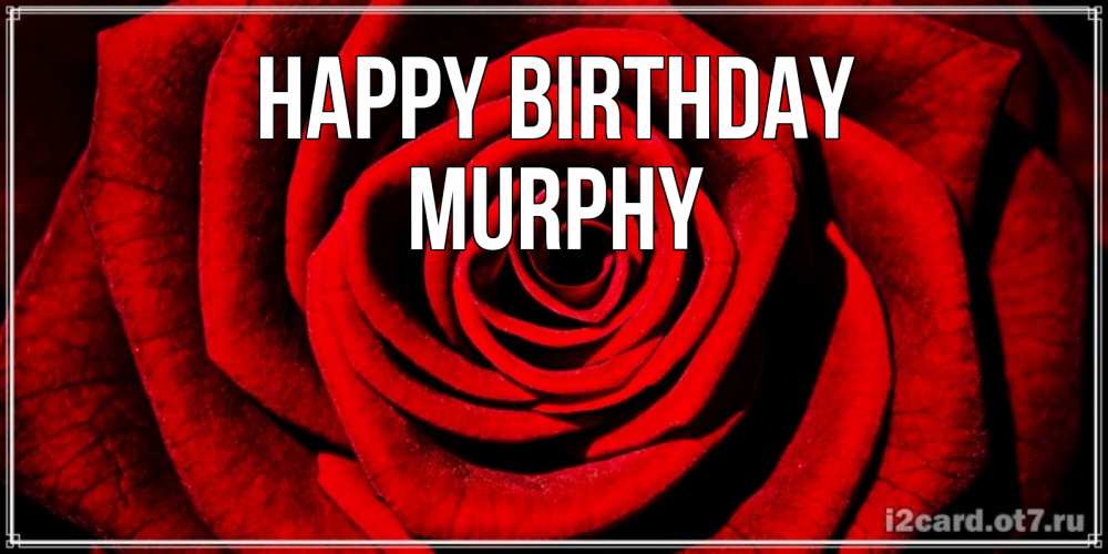 Greetings card с именем, Murphy Happy Birthday алая роза Greetings with text for free download 