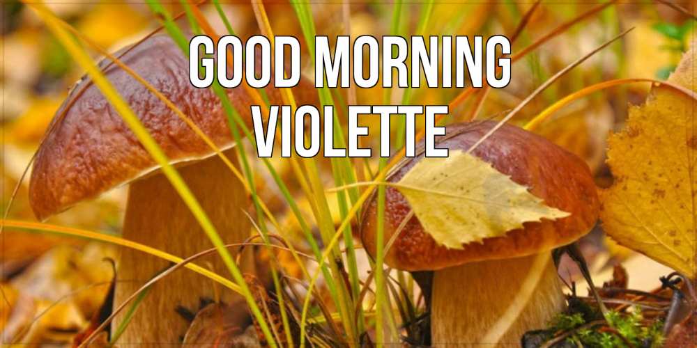 Greetings card с именем, Violette Good morning осенние грибы Greetings with text for free download 
