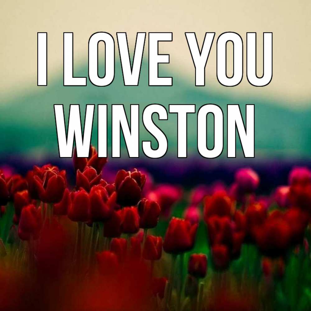 Greetings card с именем, Winston I love you тюльпаны 4 Greetings with text for free download 