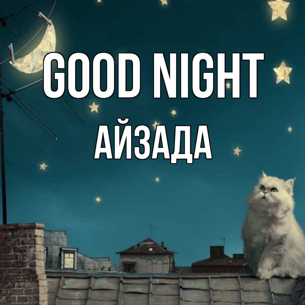 Greetings card с именем, АЙЗАДА Good night белый кот сидит на крыше Greetings with text for free download 