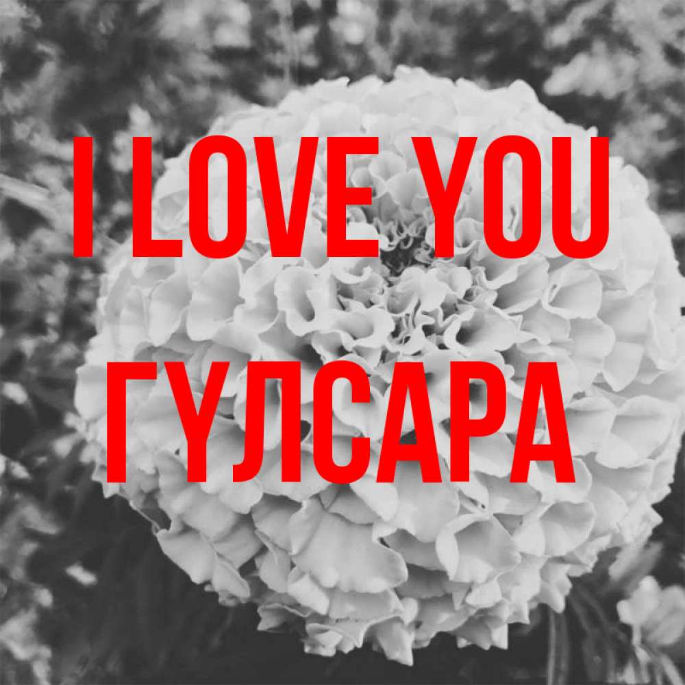 Greetings card с именем, ГҮЛСАРА I love you подпись Greetings with text for free download 