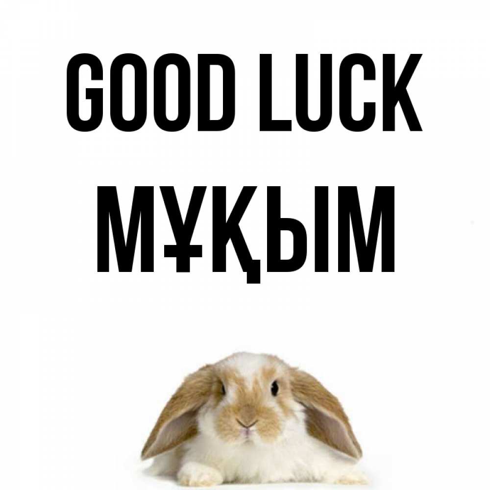 Greetings card с именем, МҰҚЫМ Good luck открытки с произвольным текстом который можно вставить в открытку и создать ее самостоятельно бесплатно онлайн Greetings with text for free download 