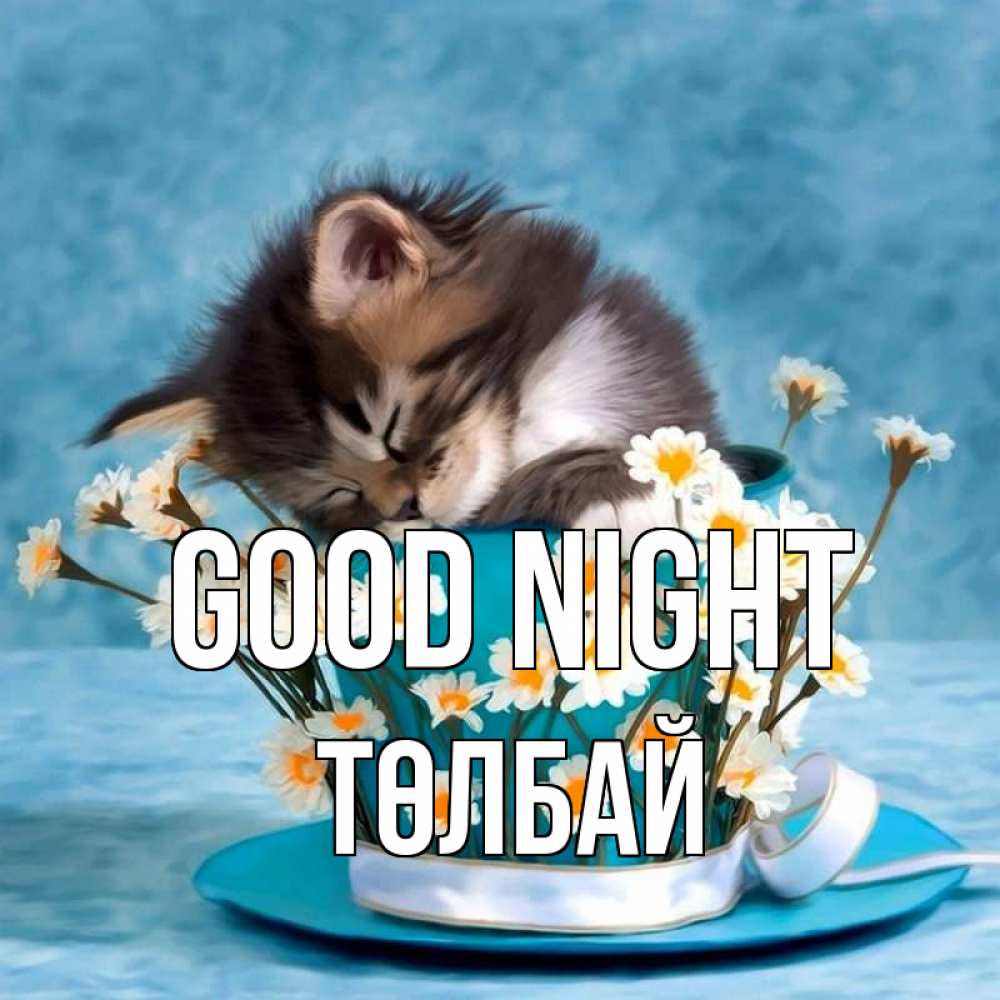 Greetings card с именем, ТӨЛБАЙ Good night котенок спит в кружке с блюдцем Greetings with text for free download 
