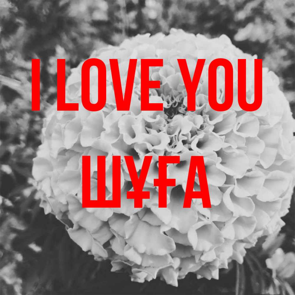 Greetings card с именем, ШҰҒА I love you подпись Greetings with text for free download 