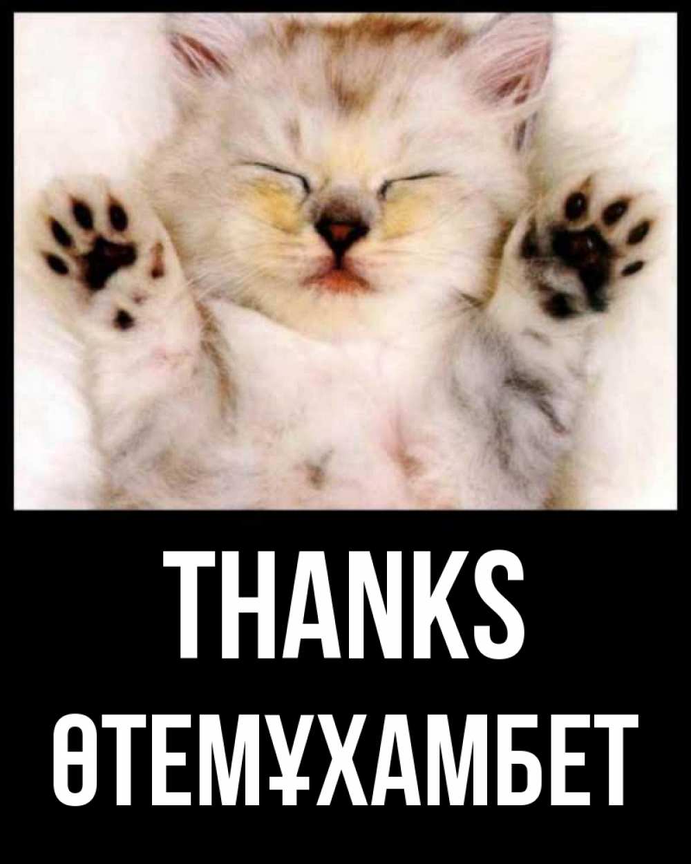 Greetings card с именем, ӨТЕМҰХАМБЕТ Thanks маленький котенок Greetings with text for free download 
