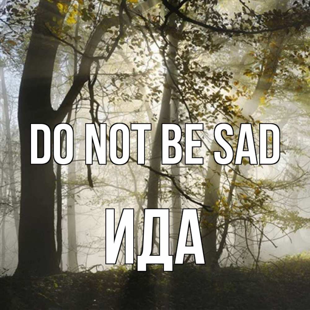 Greetings card с именем, Ида Do not be sad лес и свет Greetings with text for free download 