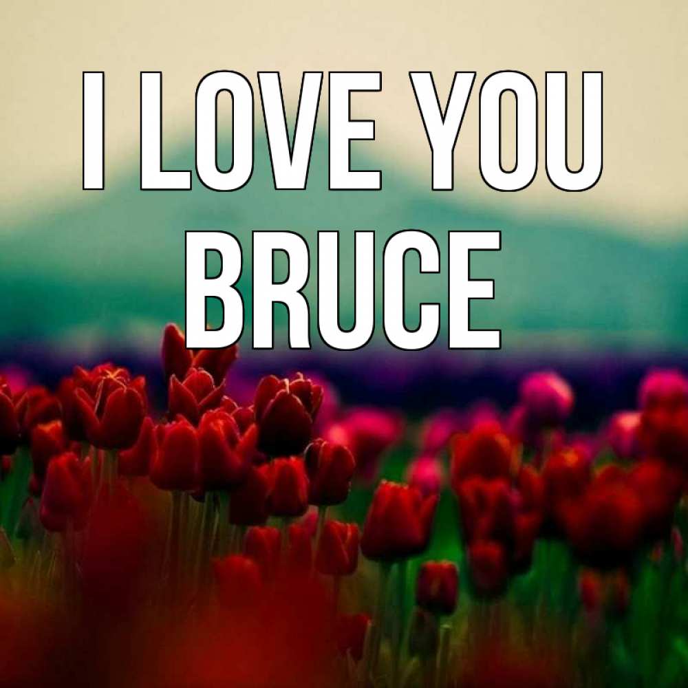 Greetings card с именем, Bruce I love you тюльпаны 4 Greetings with text for free download 
