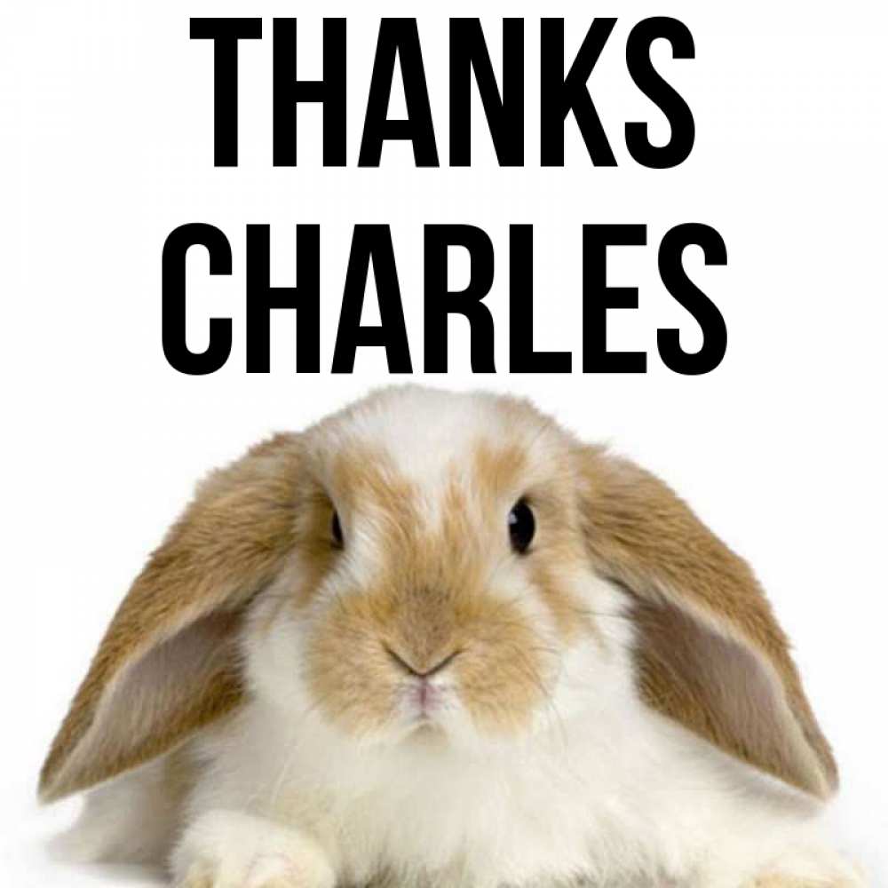 Greetings card с именем, Charles Thanks коричнево белый заяц Greetings with text for free download 