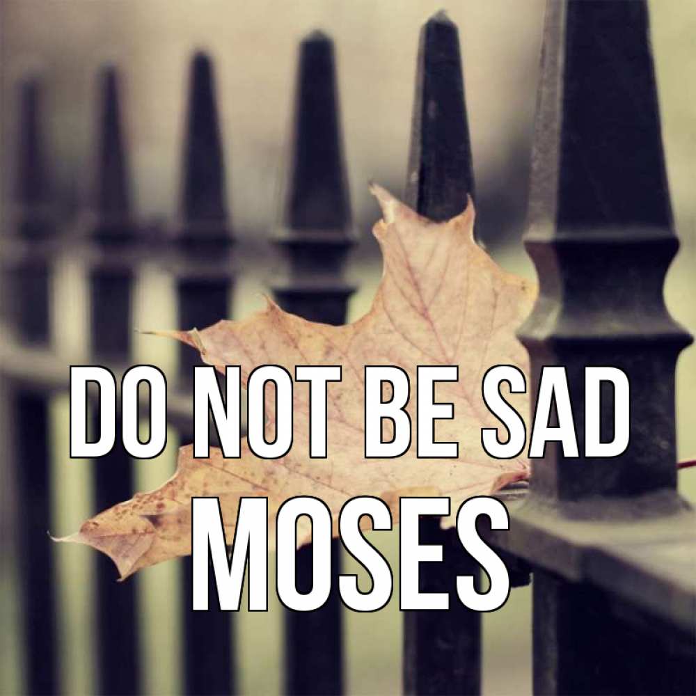 Greetings card с именем, Moses Do not be sad лист клена Greetings with text for free download 