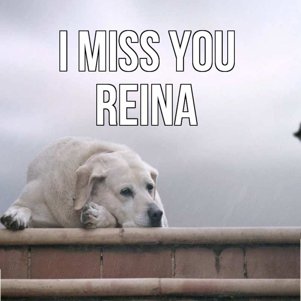 Greetings card с именем, Reina I miss you ждет Greetings with text for free download 