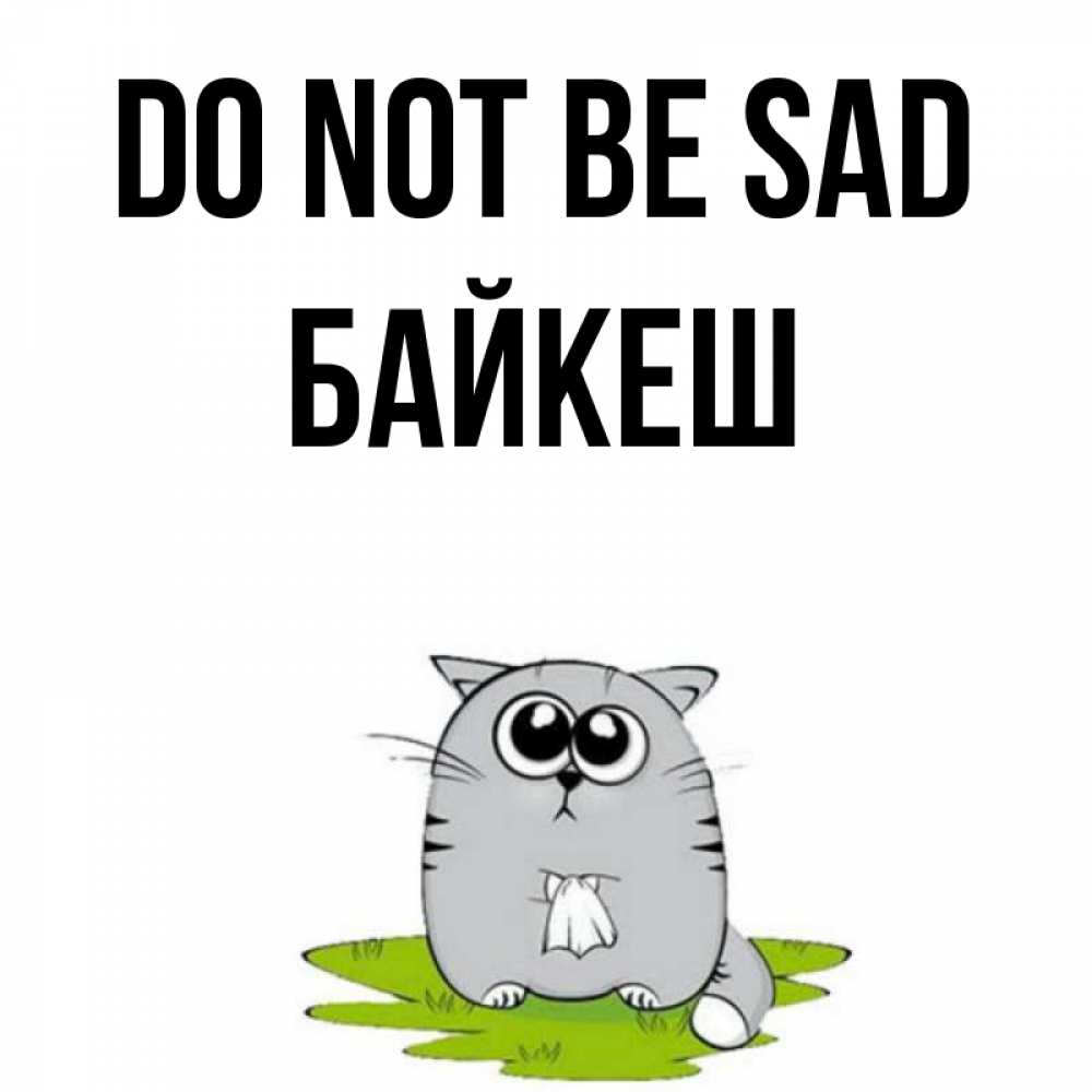 Greetings card с именем, Байкеш Do not be sad грустный котяра Greetings with text for free download 
