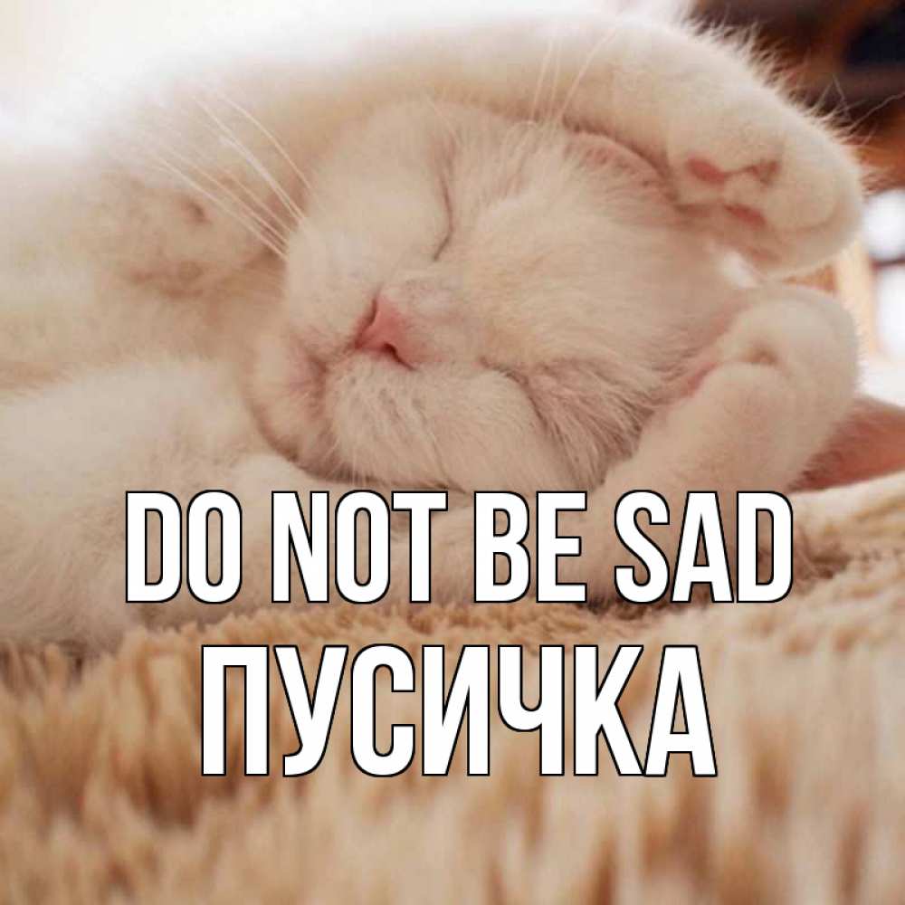 Greetings card с именем, Пусичка Do not be sad белый кот Greetings with text for free download 