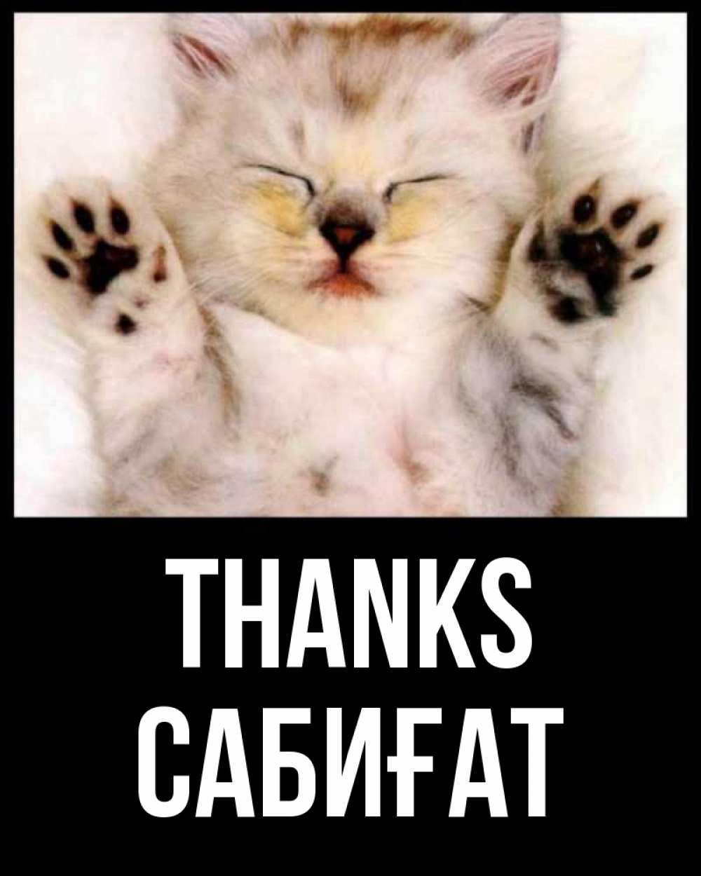 Greetings card с именем, САБИҒАТ Thanks маленький котенок Greetings with text for free download 