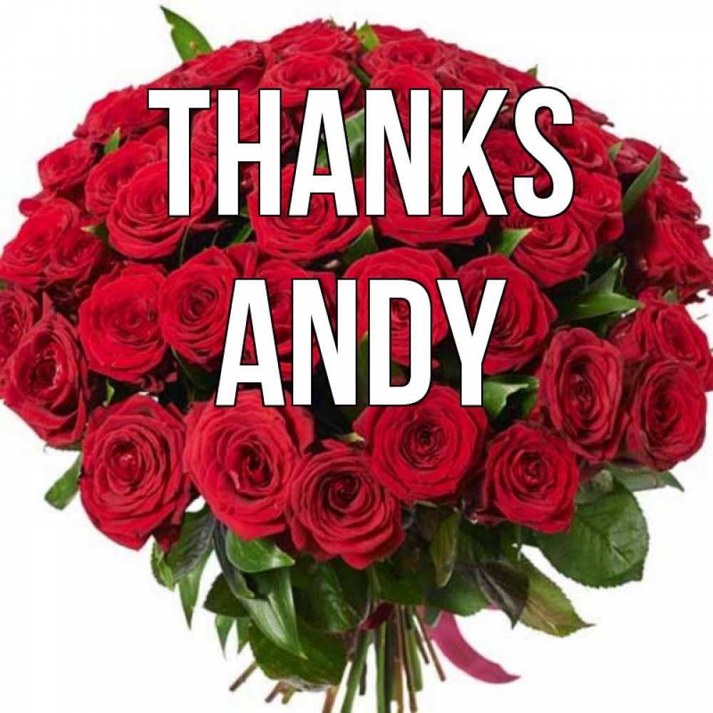 Greetings card с именем, Andy Thanks букет красных роз Greetings with text for free download 