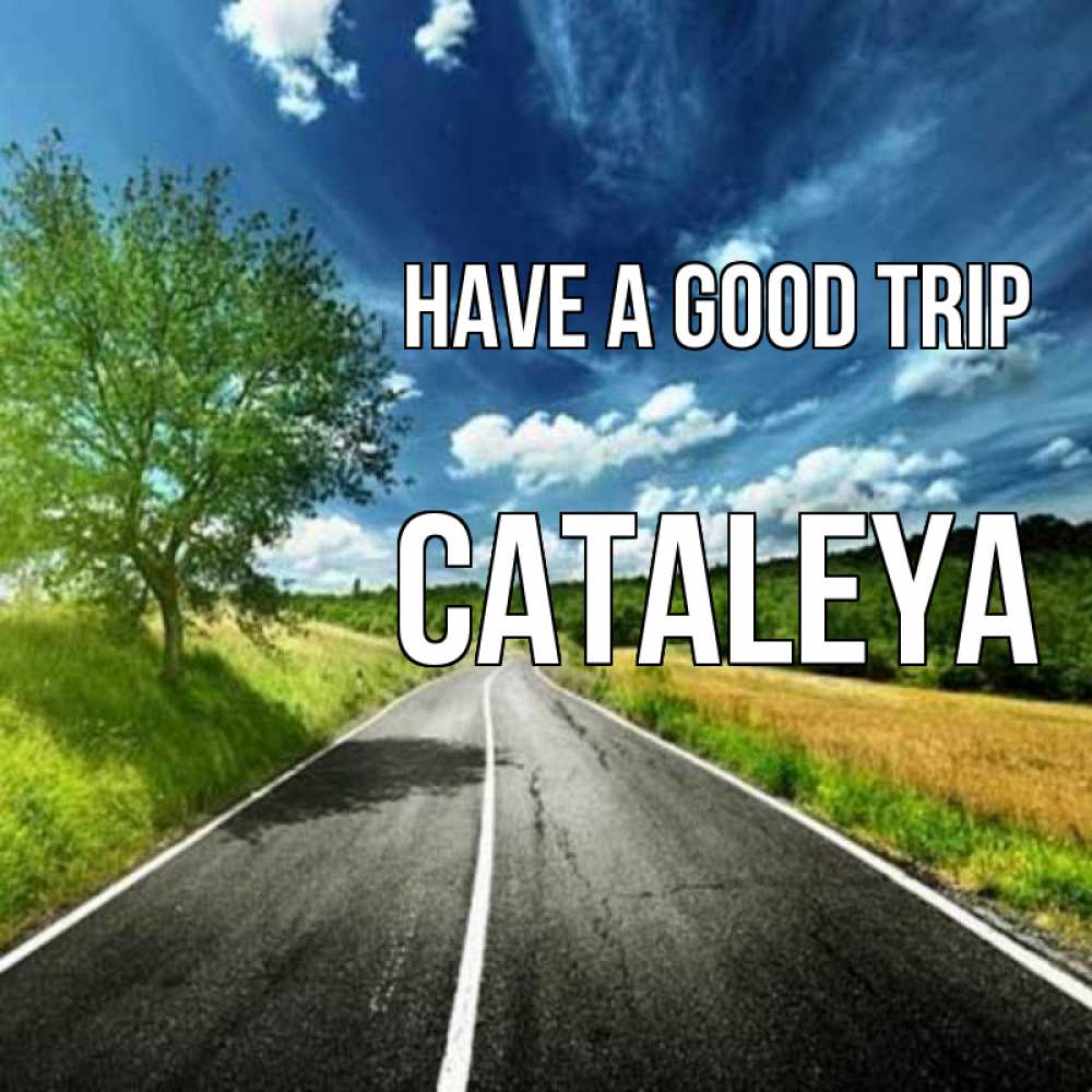 Greetings card с именем, Cataleya Have a good trip яркие деревья и небо Greetings with text for free download 