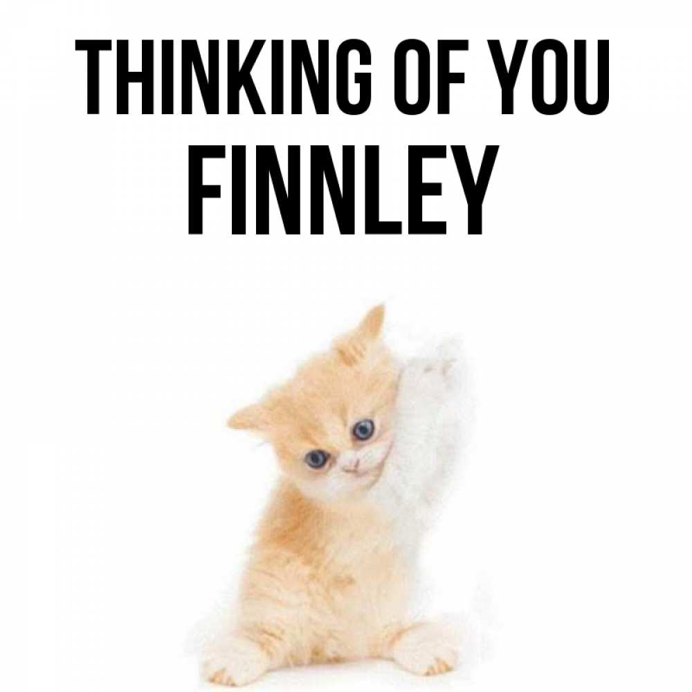 Greetings card с именем, Finnley Thinking of you зверушки и милота Greetings with text for free download 