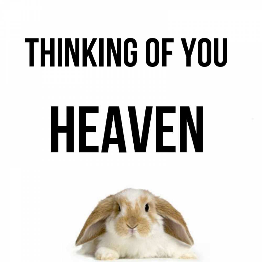 Greetings card с именем, Heaven Thinking of you подписать своими руками онлайн Greetings with text for free download 