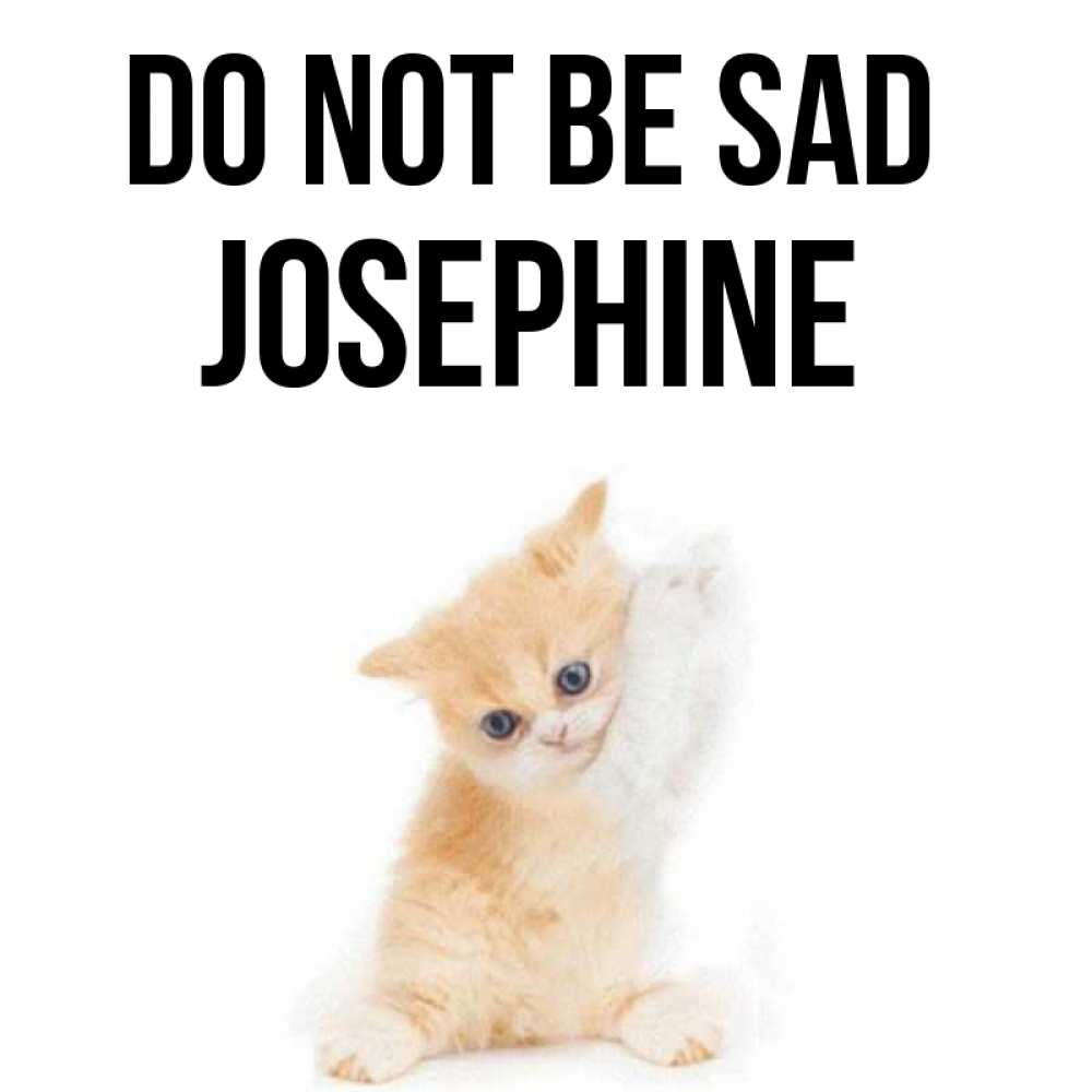 Greetings card с именем, Josephine Do not be sad просящий кот Greetings with text for free download 