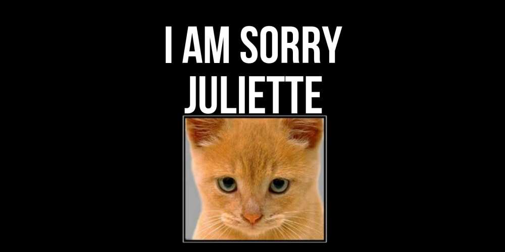Greetings card с именем, Juliette I am sorry рыжий грустный кот просит прощения Greetings with text for free download 