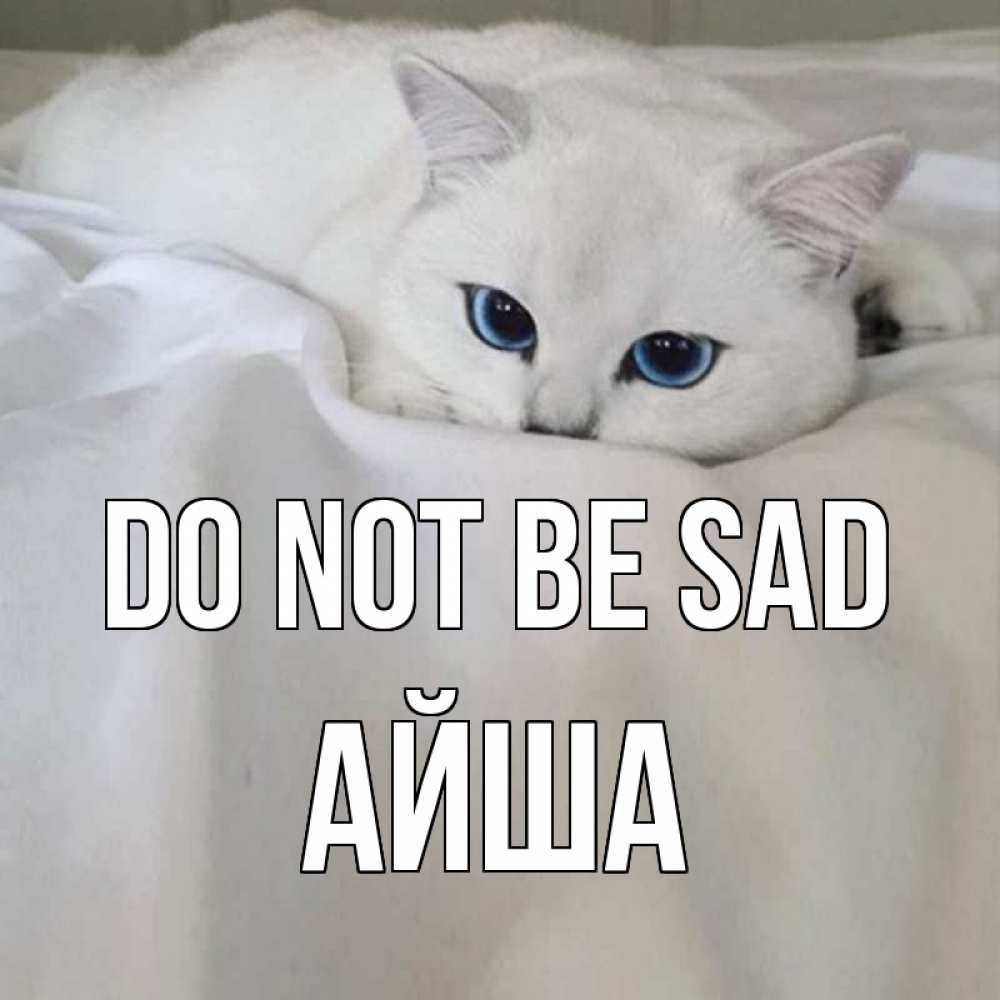 Greetings card с именем, АЙША Do not be sad белый кот с голубыми глазами на белоснежной кровати Greetings with text for free download 