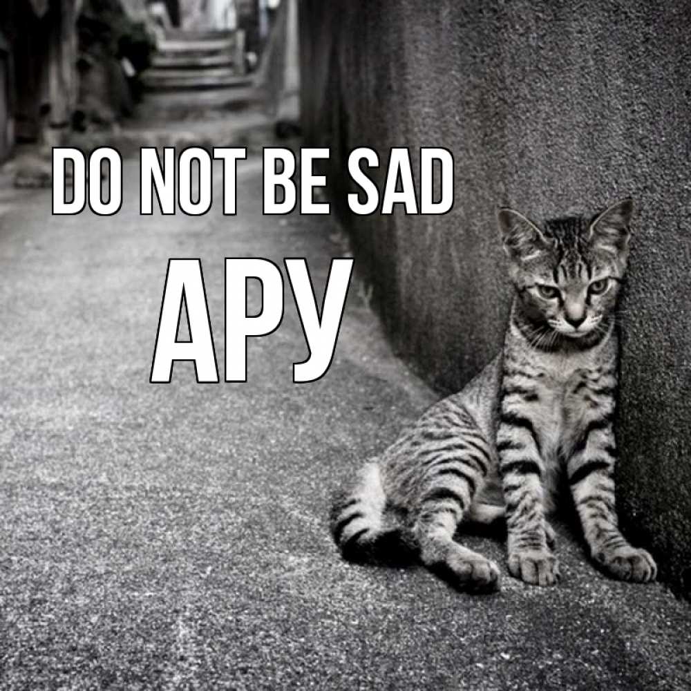 Greetings card с именем, АРУ Do not be sad скучающий котик Greetings with text for free download 