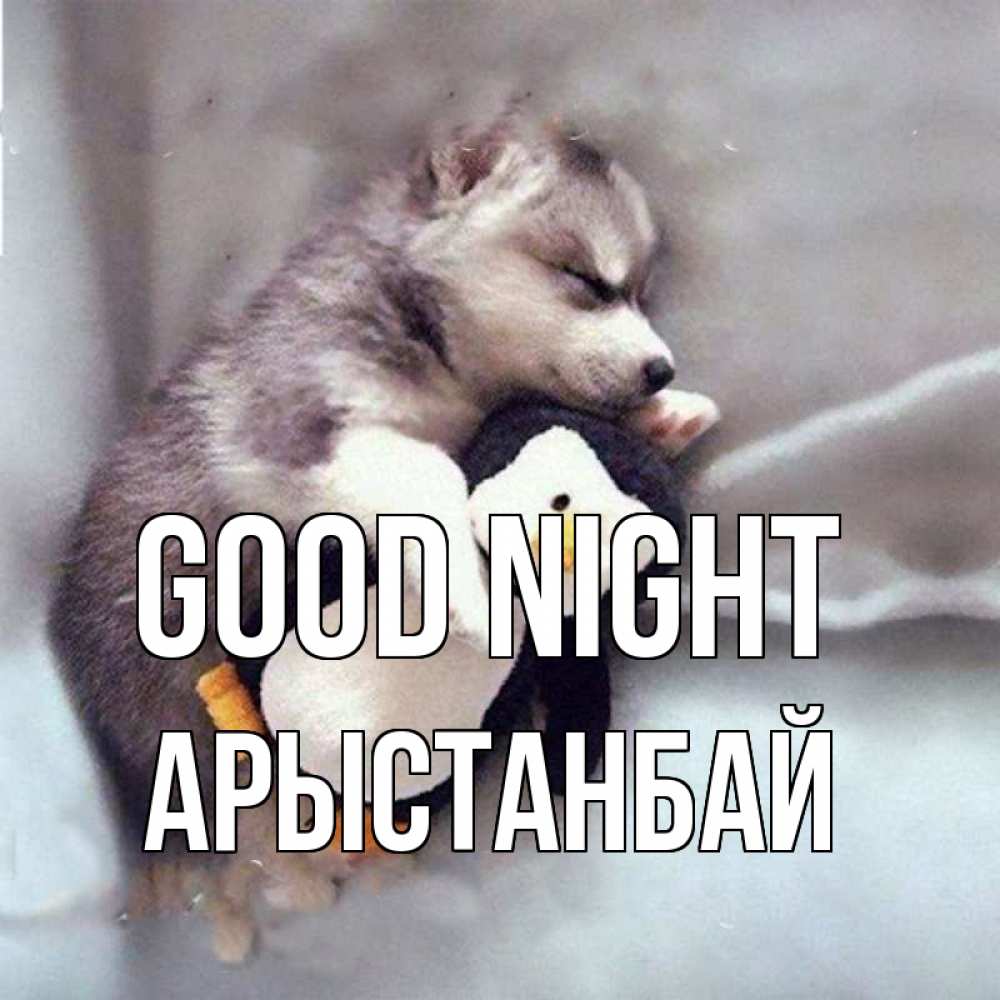 Greetings card с именем, Арыстанбай Good night обнимашки щенка и пингвина Greetings with text for free download 