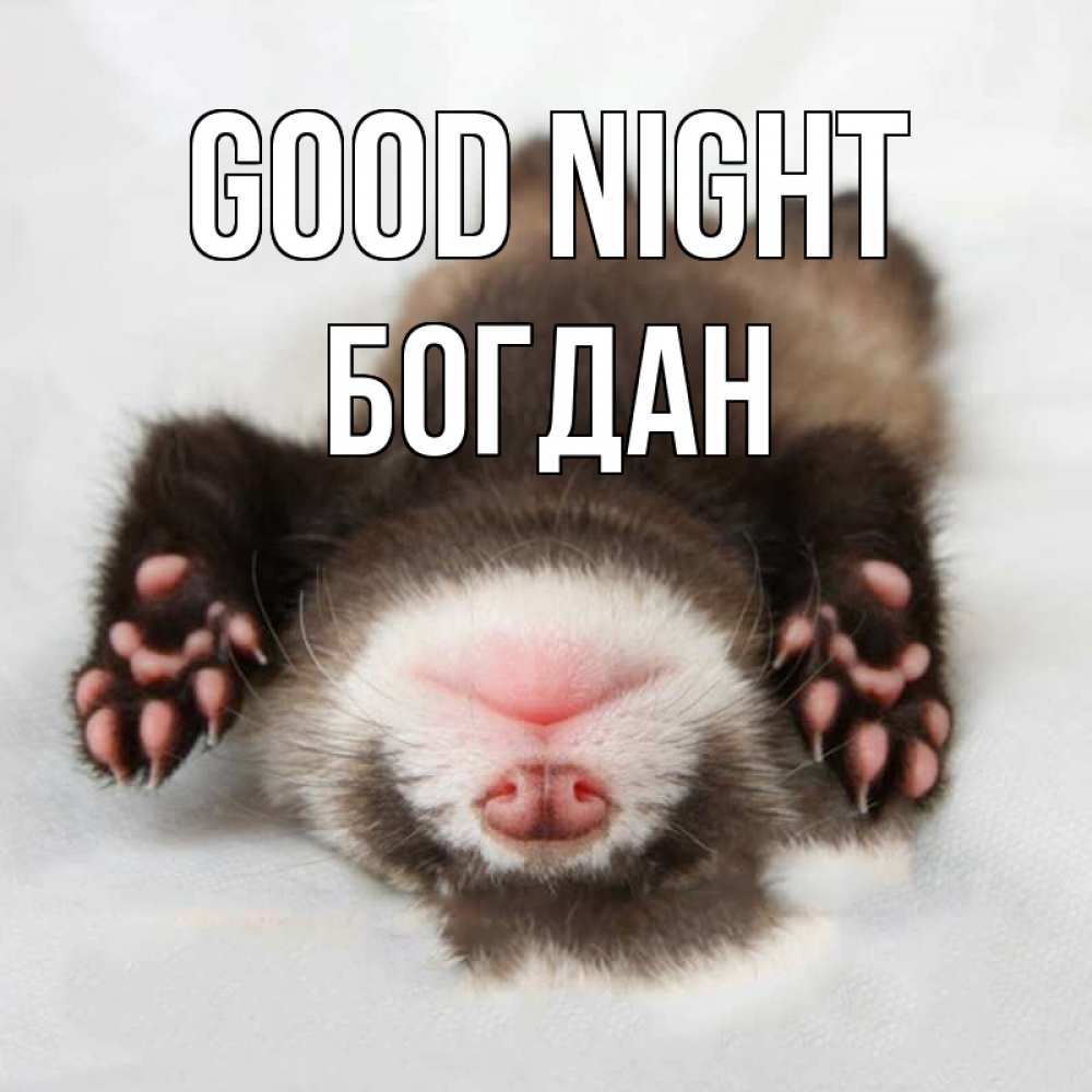 Greetings card с именем, Богдан Good night зверек Greetings with text for free download 