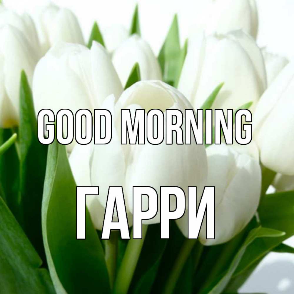 Greetings card с именем, Гарри Good morning открытки на каждый день по именам Greetings with text for free download 