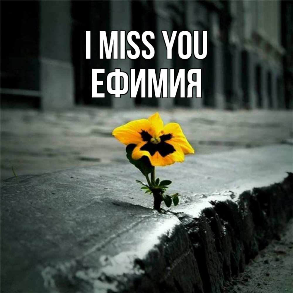 Greetings card с именем, Ефимия I miss you надеюсь будет лучше Greetings with text for free download 